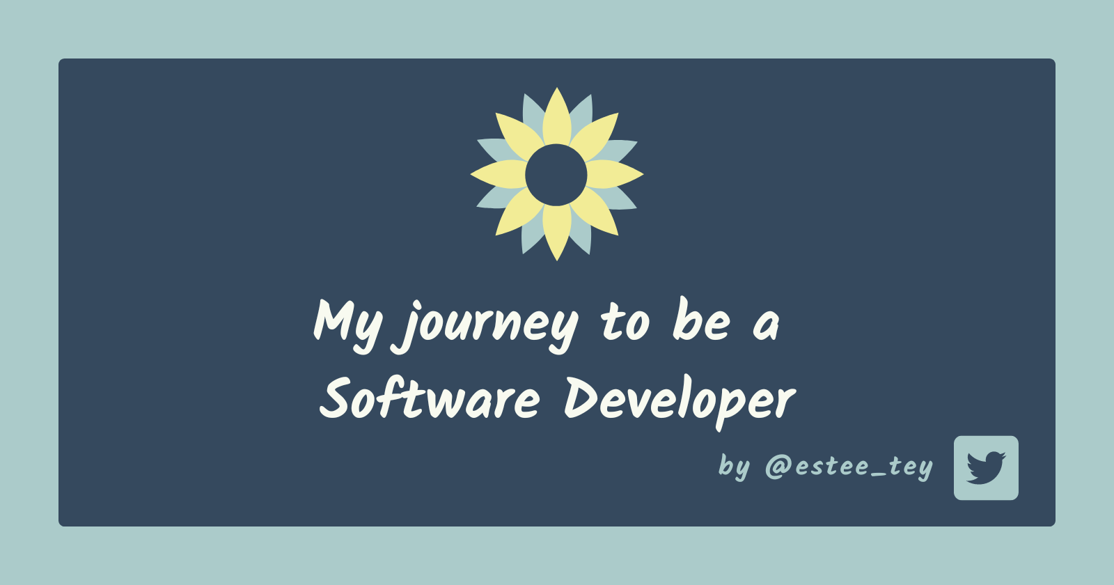 Swept along by life to be a software developer